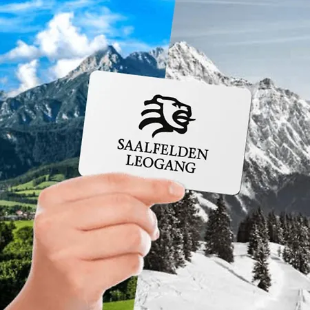 Schwaiberg Σαλέ