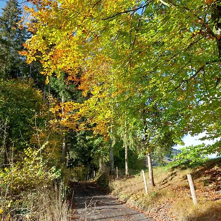 Alpehytte Schwaiberg