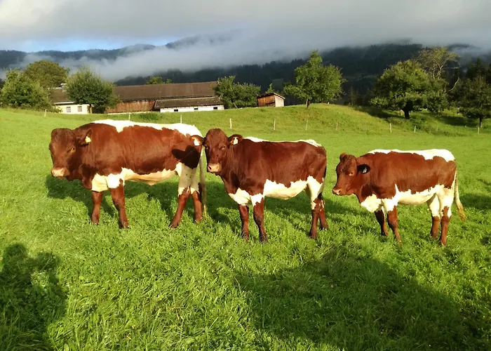 Schwaiberg Σαλέ *